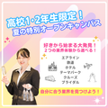 エアライン・鉄道・ホテル・テーマパーク専門学校東京 【宿題応援】 高校1.2年生限定★グラハンのお仕事体験