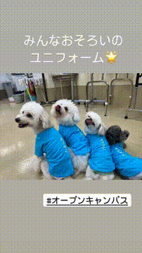 OCカメラサムネイル画像