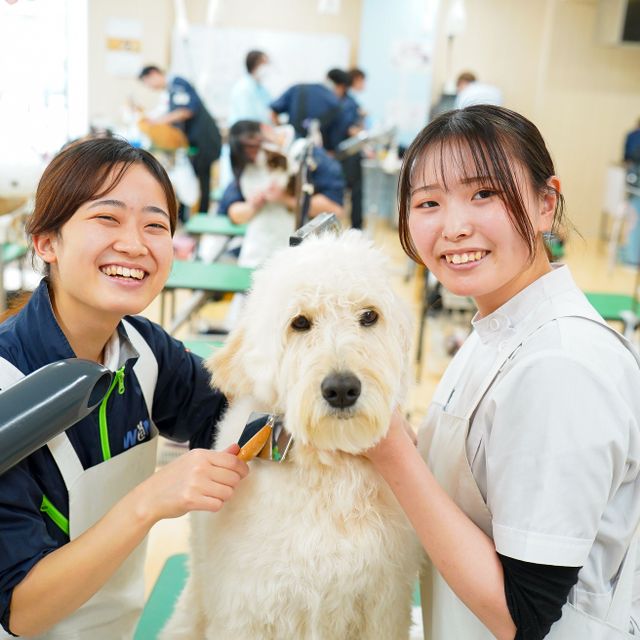 国際ペットワールド専門学校 【1月2月限定】交通費"全額”補助キャンペーン開催！2