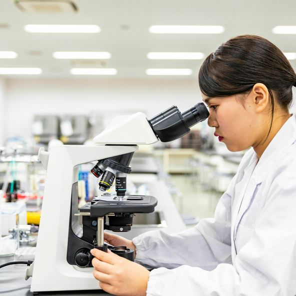 東京薬科大学 資料請求 願書請求 学校案内 スタディサプリ 進路