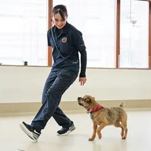 専門学校ビジョナリーアーツ 基本のドッグトレーニングを学ぼう!1