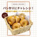 武蔵野栄養専門学校 パン作りにチャレンジ！ ～初心者でも簡単！ベーグルを作ろう～