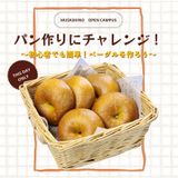 パン作りにチャレンジ！ ～初心者でも簡単！ベーグルを作ろう～の詳細