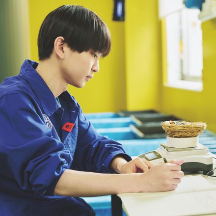 在校生レポート画像