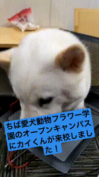 OCカメラサムネイル画像