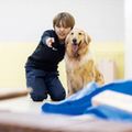 災害救助犬トレーニング体験／専門学校ビジョナリーアーツ