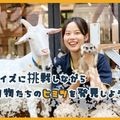 ＴＣＡ東京ＥＣＯ動物海洋専門学校 クイズに挑戦しながら動物たちのヒミツを発見しよう！