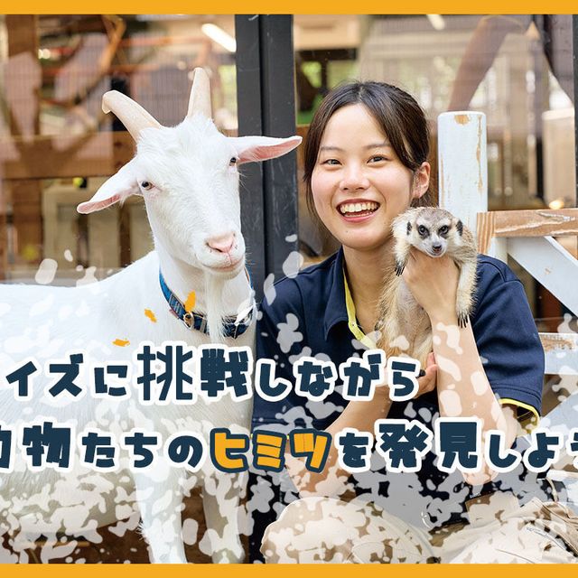ＴＣＡ東京ＥＣＯ動物海洋専門学校 クイズに挑戦しながら動物たちのヒミツを発見しよう！1
