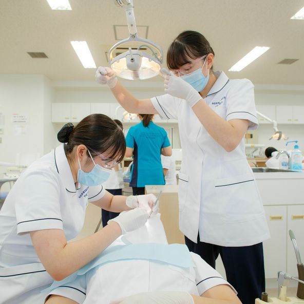 仙台保健福祉専門学校 資料請求 願書請求 学校案内 スタディサプリ 進路