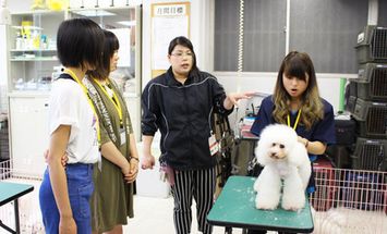 河原アイペットワールド専門学校のブログインフォ一覧 19 スタディサプリ 進路