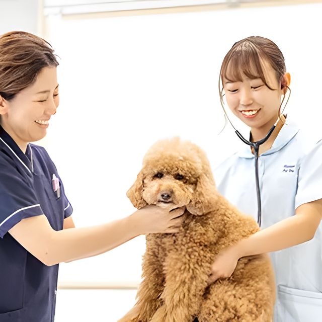専門学校　福岡ビジョナリーアーツ 【看護】動物看護学科説明会＆お仕事体験1
