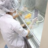 【バイオテクノロジー科】本格的なバイオ実験技術を体感！の詳細