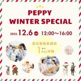ペピイウインタースペシャル【高2年限定スペシャルイベント】の詳細