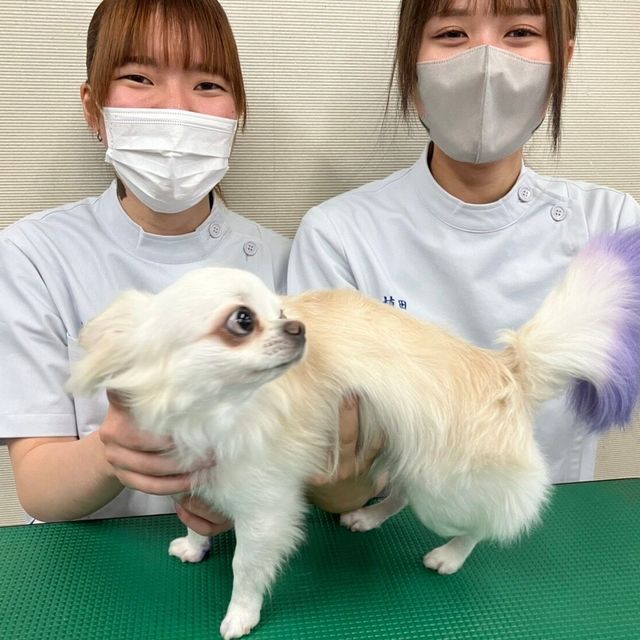 中部コンピュータ・パティシエ専門学校 体験入学（ペットコミュニケーション）4