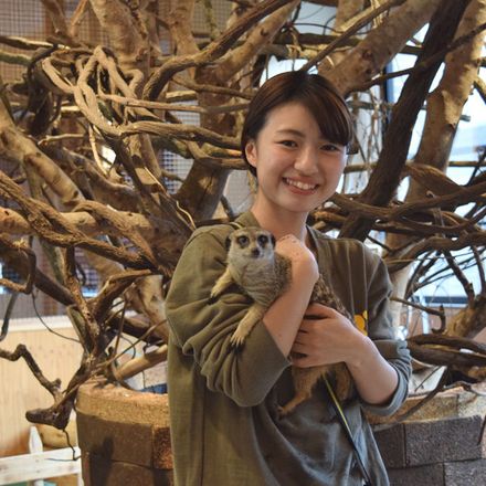 在校生レポート画像