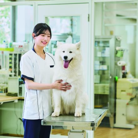 在校生レポート画像