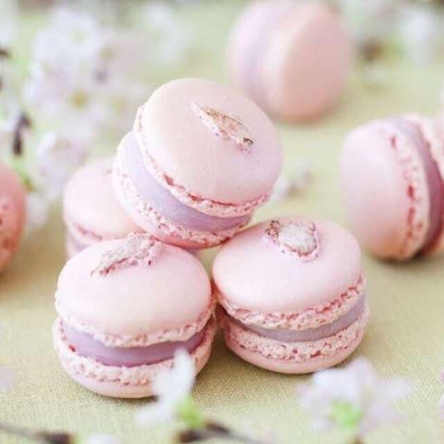 大宮スイーツ＆カフェ専門学校 【さくらマカロン】全学年対象！/高校生に人気のオーキャン！1