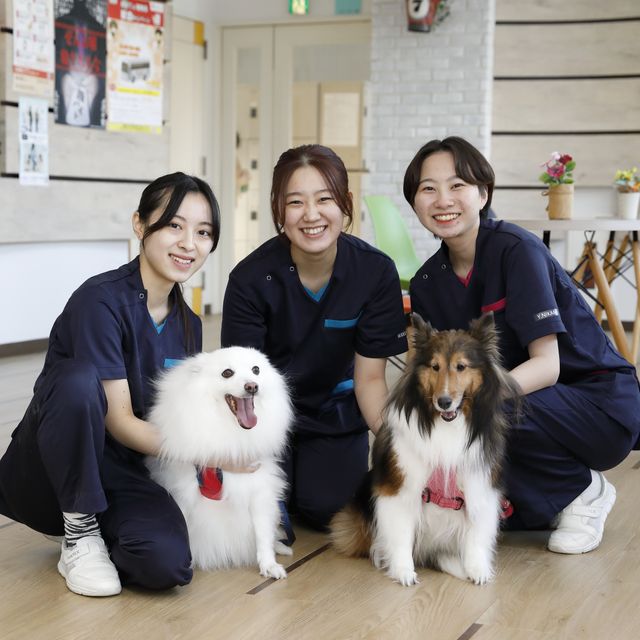 吉田学園動物看護専門学校 どうぶつの救急体験をしよう！4