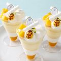 東京製菓学校 ８月のじっくり体験DAY！【洋菓子コース】