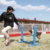 ドッグトレーナーお仕事体験　小型犬訓練のポイントＳＰの詳細