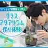 ＴＣＡ東京ＥＣＯ動物海洋専門学校 アクアショップ経営者から学ぶグラスアクアリウム作り体験