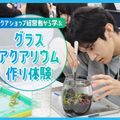 ＴＣＡ東京ＥＣＯ動物海洋専門学校 アクアショップ経営者から学ぶグラスアクアリウム作り体験