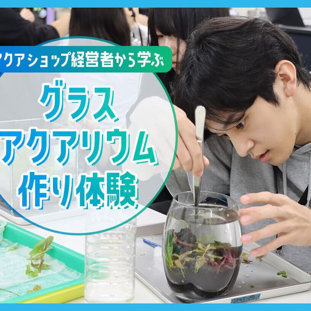 ＴＣＡ東京ＥＣＯ動物海洋専門学校 アクアショップ経営者から学ぶグラスアクアリウム作り体験1