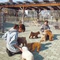 国際ペット専門学校　金沢 勝つのは誰だ？！ わんちゃんとミニゲーム対決！