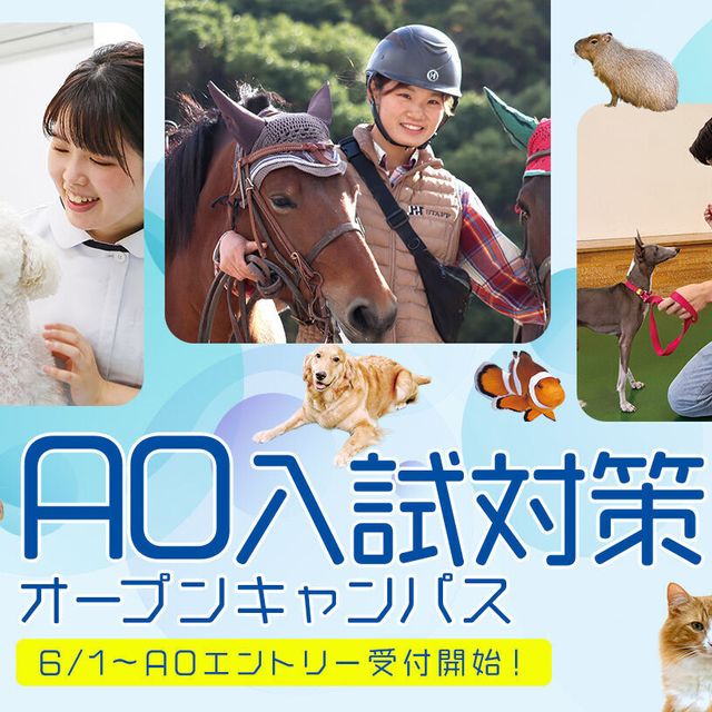 大阪ＥＣＯ動物海洋専門学校 AO入試対策オープンキャンパス1