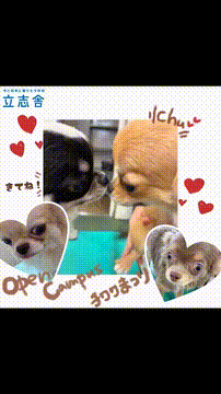 OCカメラサムネイル画像