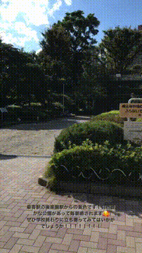 OCカメラサムネイル画像