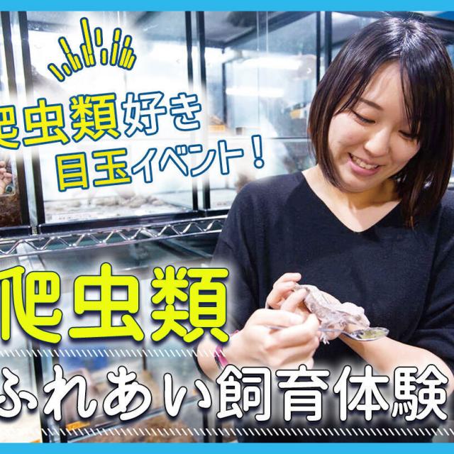 ＴＣＡ東京ＥＣＯ動物海洋専門学校 爬虫類ふれあい飼育体験1