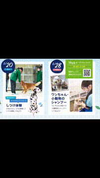 OCカメラサムネイル画像