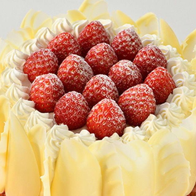 織田調理師専門学校 【5月11日 Aコース】ホテルシェフが教えるショートケーキ1