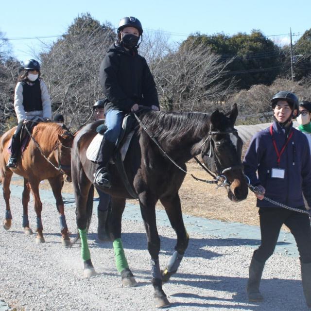 専門学校　ちば愛犬動物フラワー学園 【ホースプロ】乗馬体験2