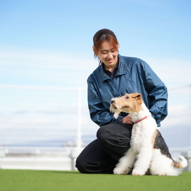 高崎動物専門学校 【ドッグトレーナー】パートナー犬にトリック（芸）を教えよう1