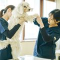 専門学校ビジョナリーアーツ 【お仕事体験DAY】いろんな動物の看護をしてみよう！