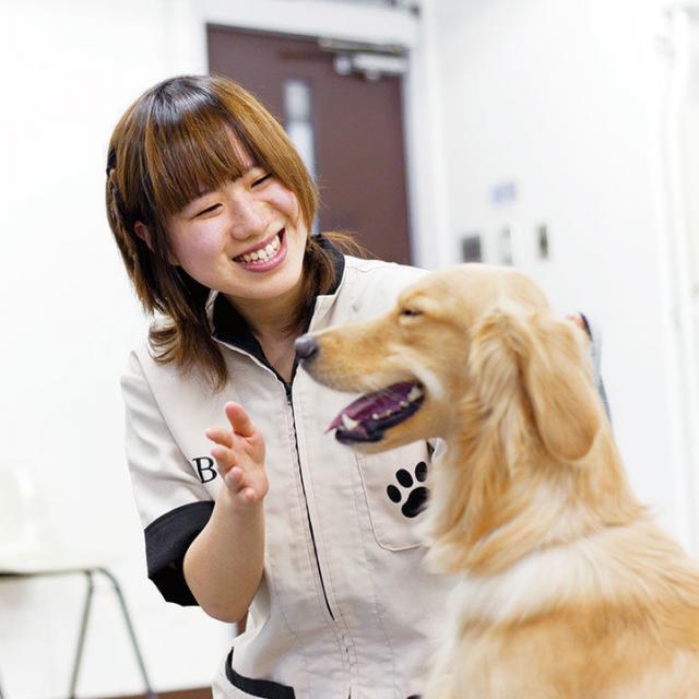 大阪ビジネスカレッジ専門学校 犬のきもち1