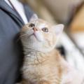 北海道どうぶつ・医療専門学校 【愛玩動物看護学科】わんこ・にゃんこの健康診断