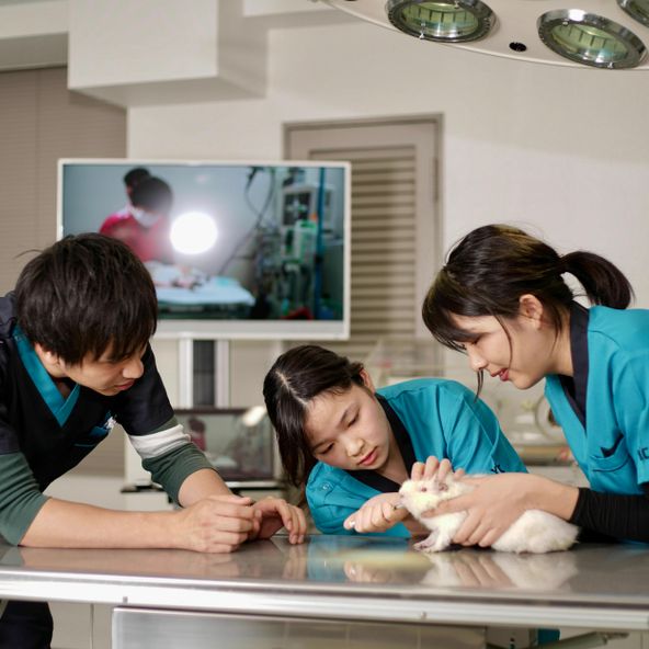 ｙｉｃ京都ペット総合専門学校 資料請求 願書請求 学校案内 スタディサプリ 進路