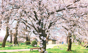 河原電子ビジネス専門学校のブログインフォ一覧 3 スタディサプリ 進路