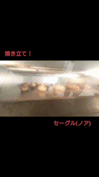 OCカメラサムネイル画像