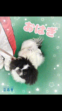 OCカメラサムネイル画像