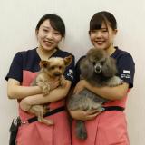 学校説明会【ＴBC学院宇都宮ペット校】の詳細