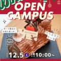 国際製菓専門学校 【洋菓子】クリスマスケーキ