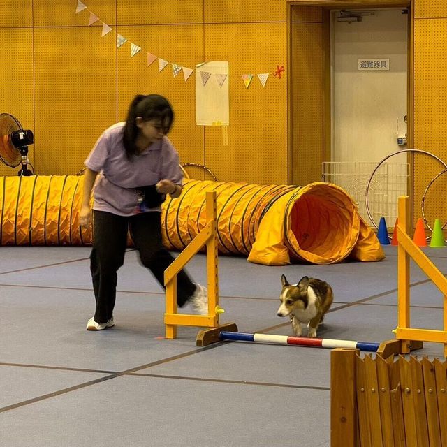 神戸動植物環境専門学校 KAP ZOO 2026　～感動の伝統芸能「猿回し」～1