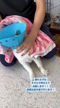 OCカメラサムネイル画像