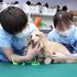 ヤマザキ動物専門学校 Animal Summer Festival 20262