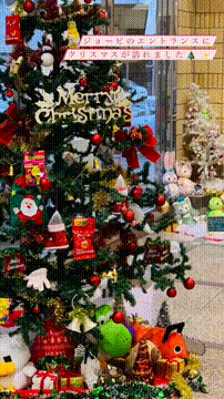 OCカメラサムネイル画像