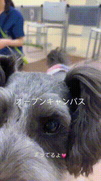 OCカメラサムネイル画像